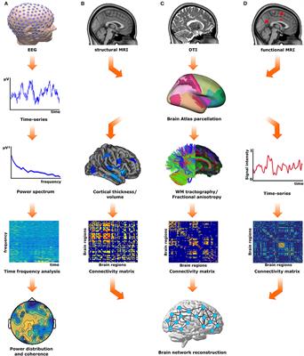 Brain Networks Reorganization During Maturation and Healthy Aging-Emphases for Resilience